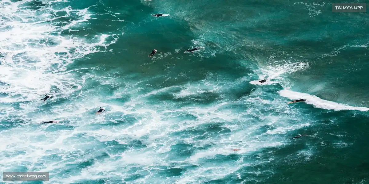 pg模拟器入口——起跑线是弓，运动员是箭。🌀 🌄